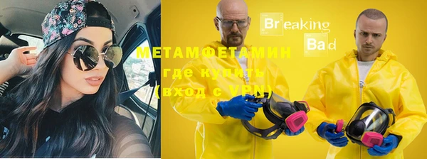 прущие грибы Навашино