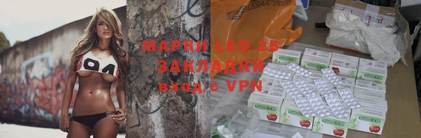 прущие грибы Навашино