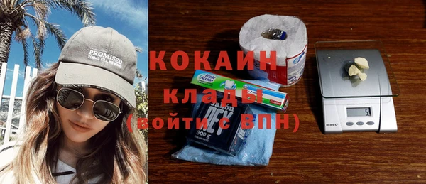 прущие грибы Навашино