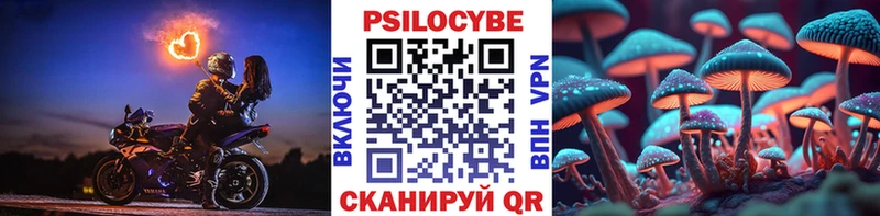 Псилоцибиновые грибы Psilocybe  нарко площадка телеграм  Остров 